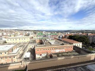 Vista