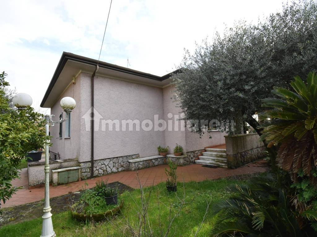 Giardino