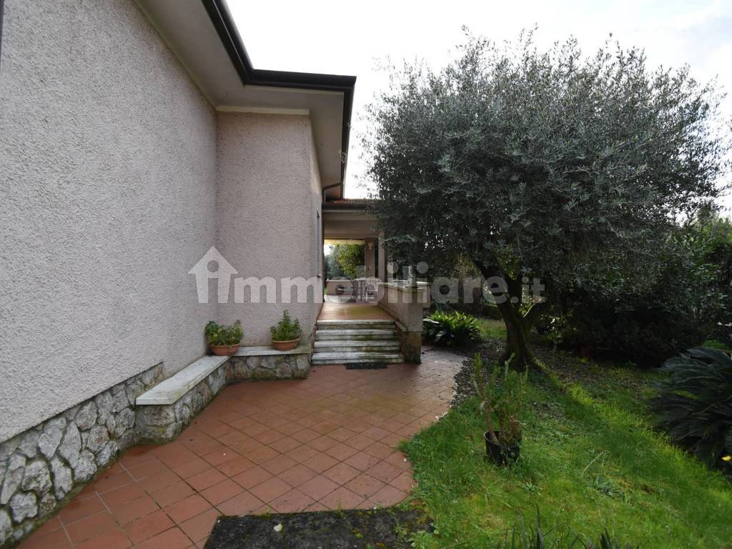 Giardino