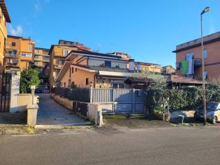 Zona