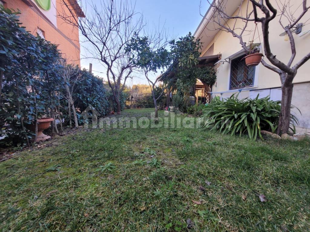 Giardino