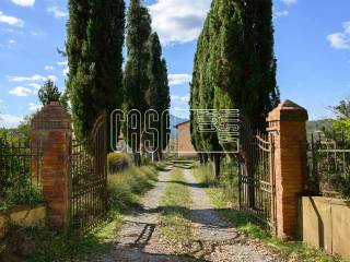 Ingresso