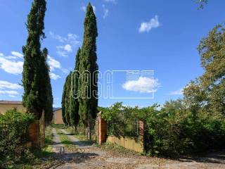 Ingresso