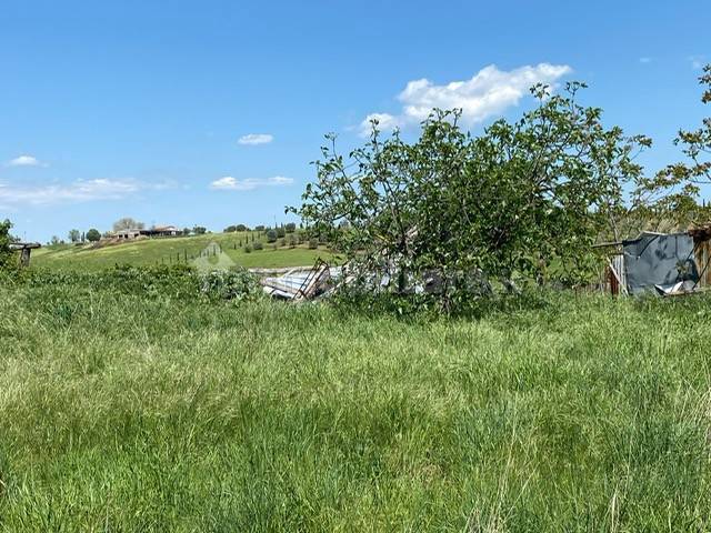 Rustico - Casale in vendita a Scansano