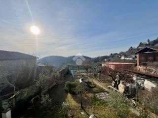 Vista