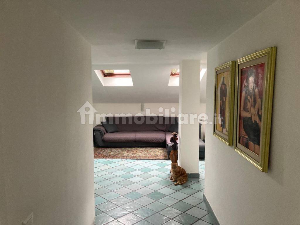 Ingresso