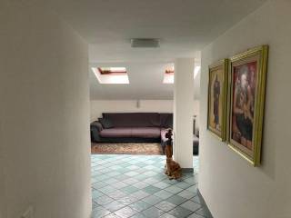 Ingresso