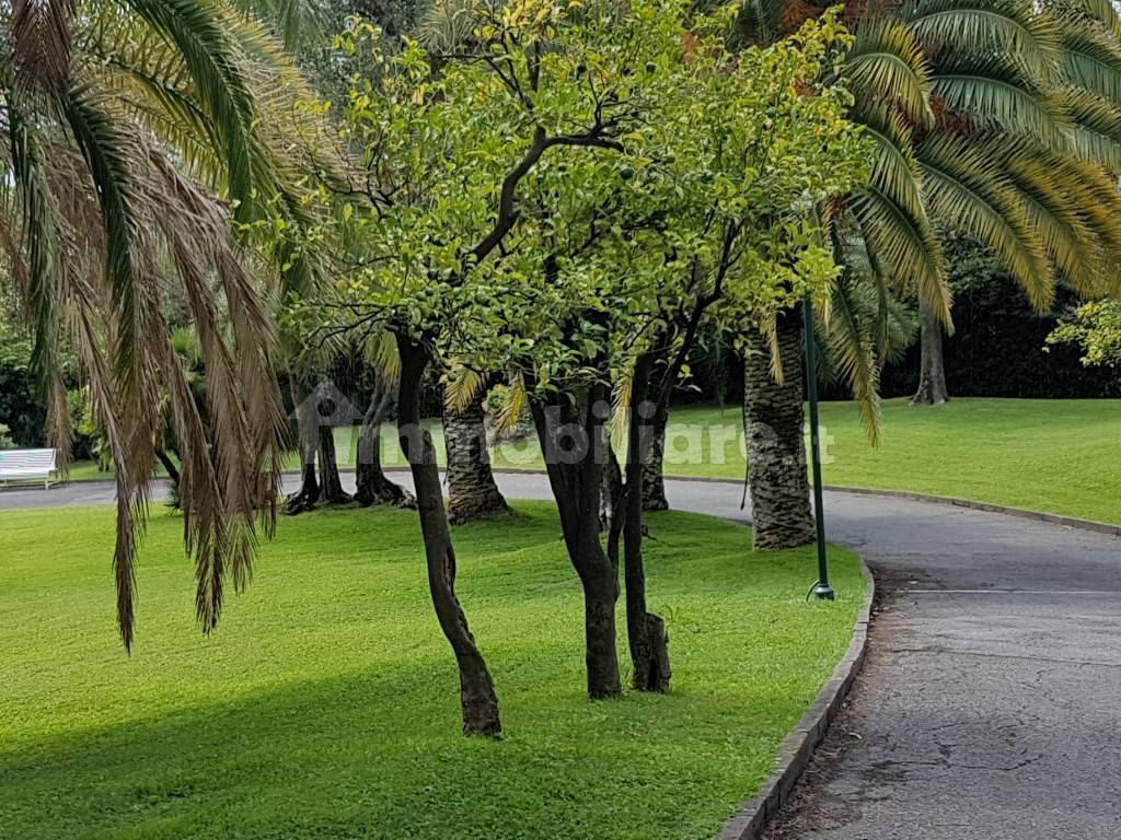 Appartamento in affitto a Genova