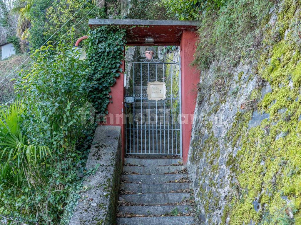 Ingresso