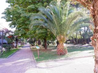 Zona