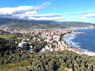 Vista