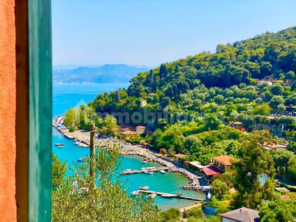 Vista