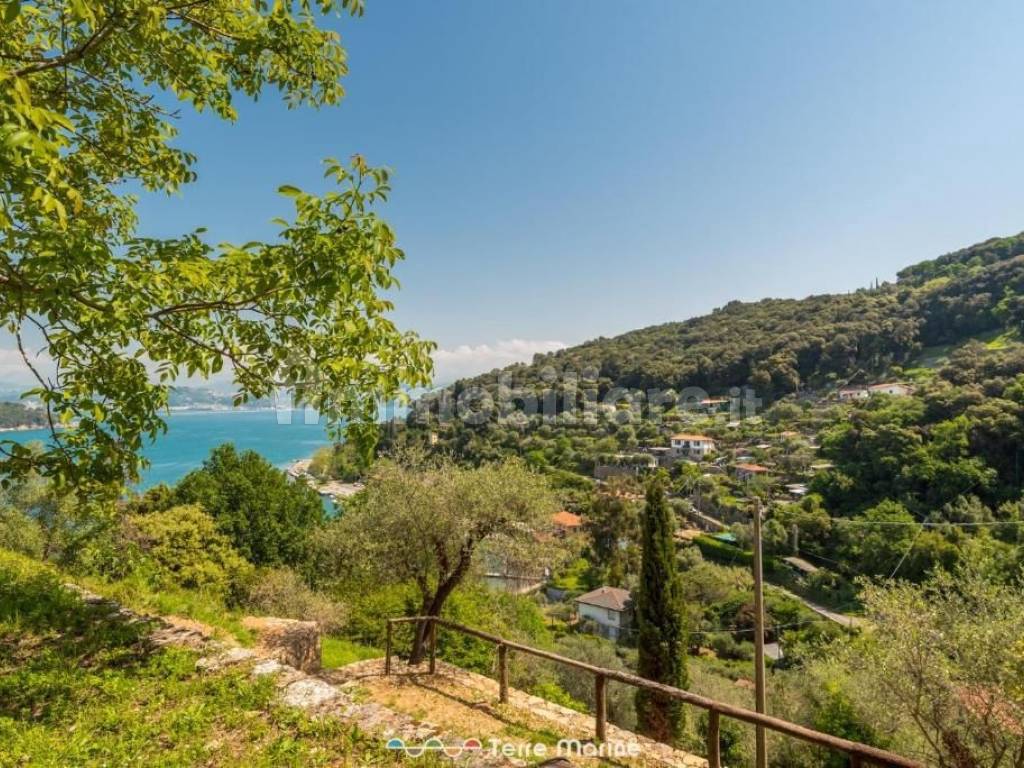 Vista