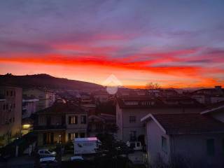 Vista