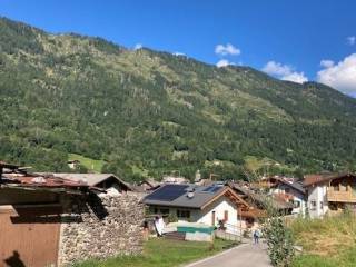 Vista