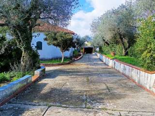 Cortile interno