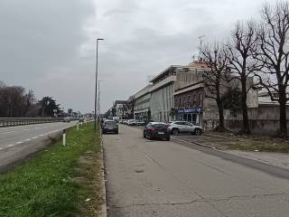 Zona