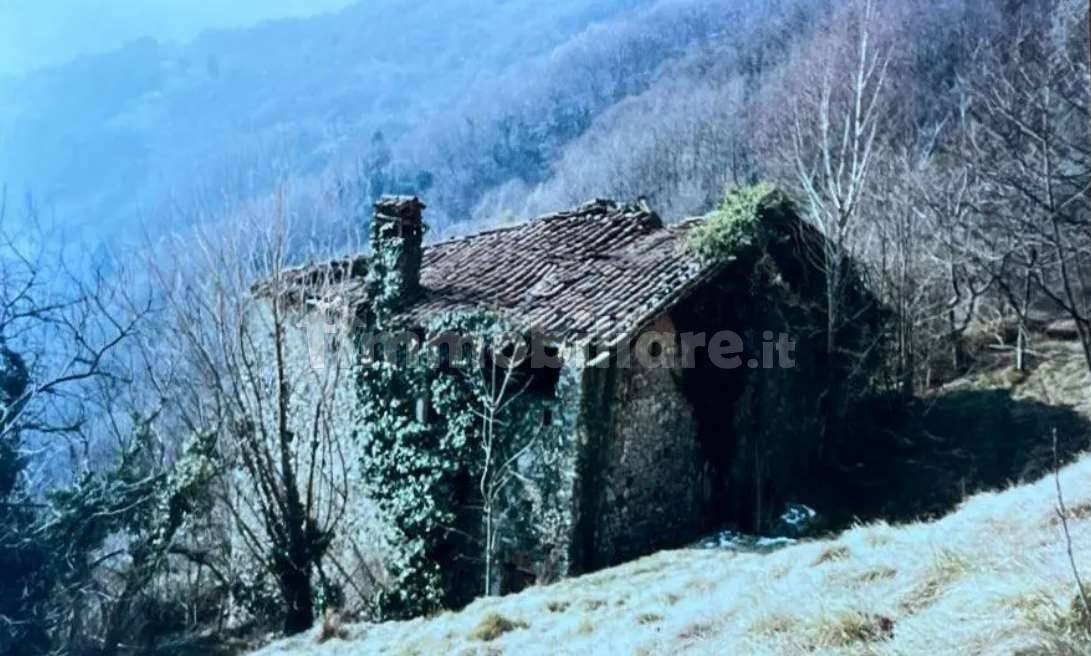 Casa indipendente in vendita a Plesio
