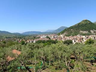 Vista