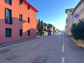 Zona