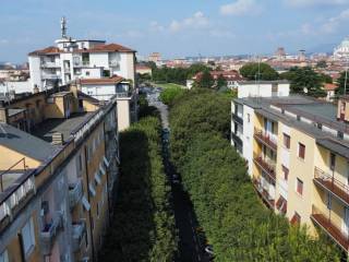 Vista