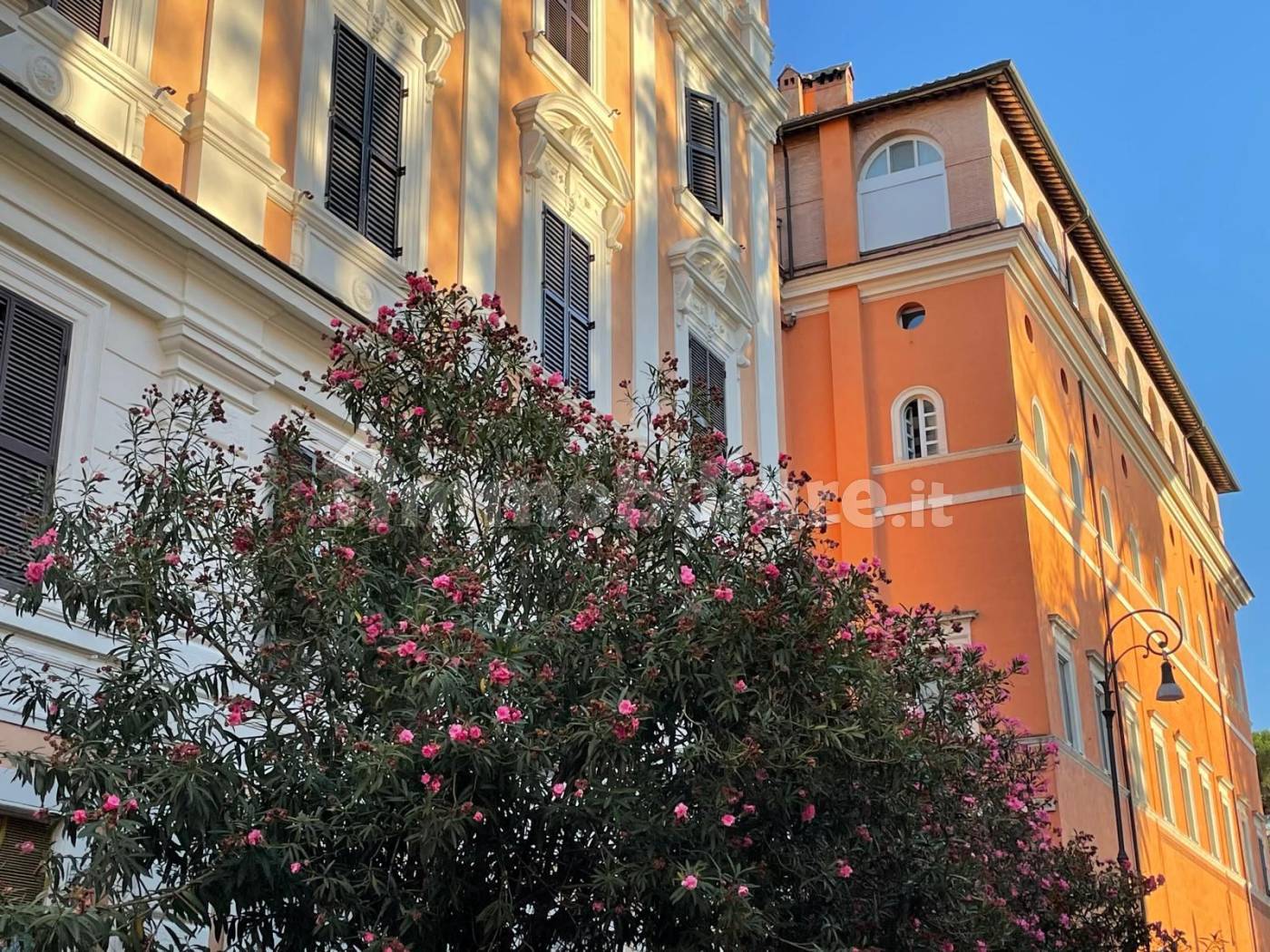 Appartamento in affitto a Roma