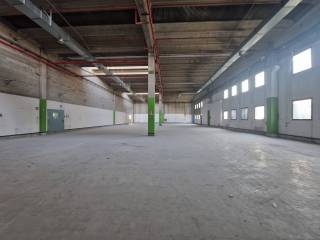 Magazzino