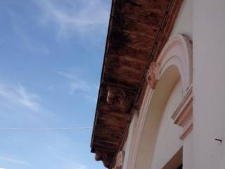 Zona