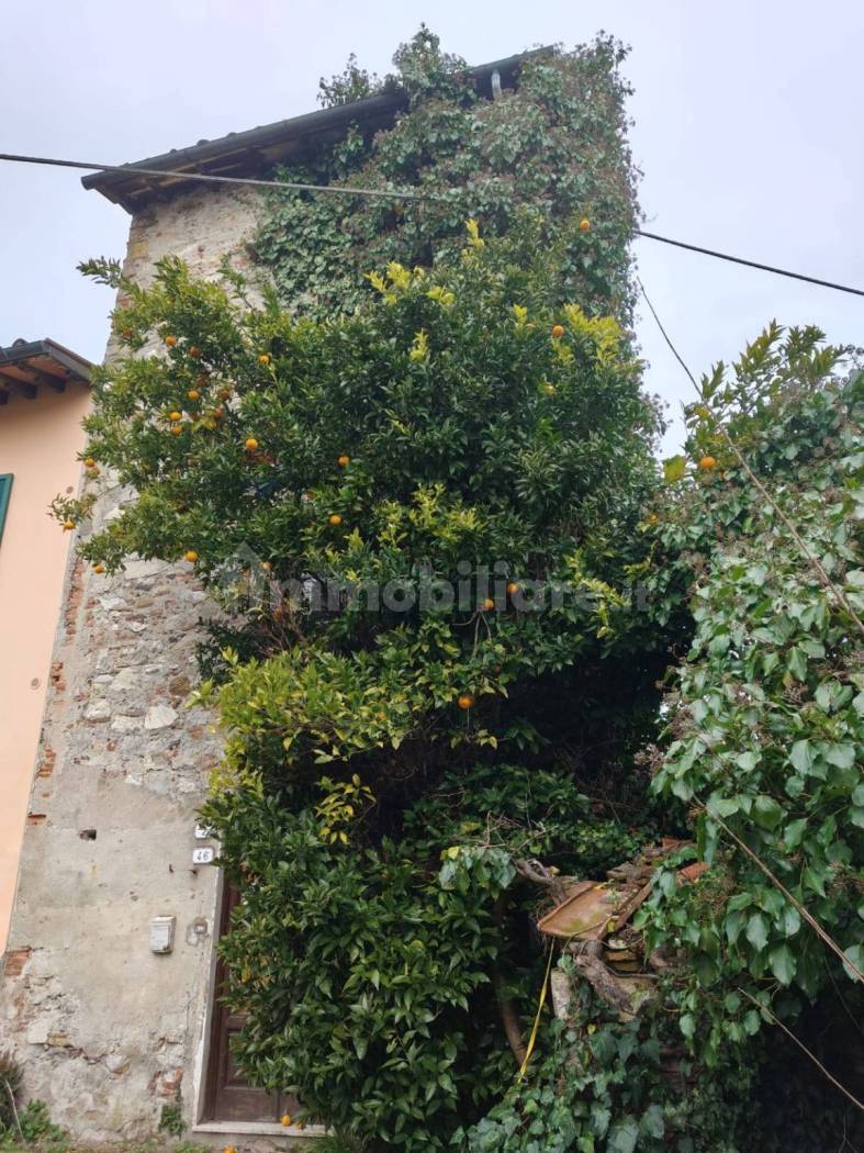 Rustico - Casale in vendita a Lucca