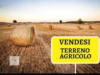 Altro