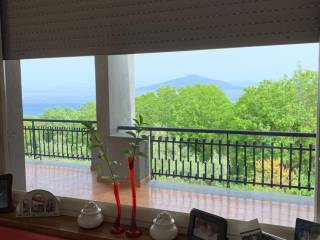 Vista
