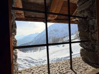 Vista