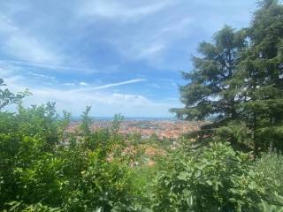 Vista