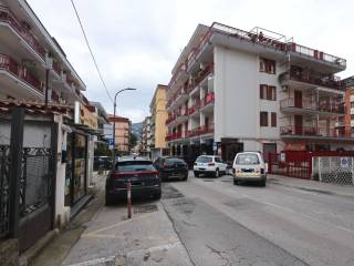 Zona