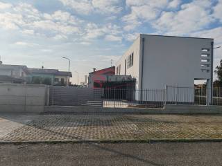 Zona