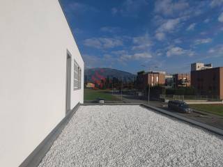 Zona