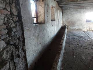 Cantina