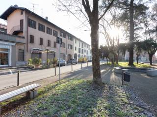 Zona