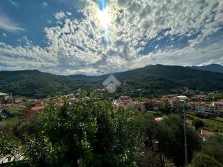 Vista