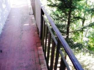Scala
