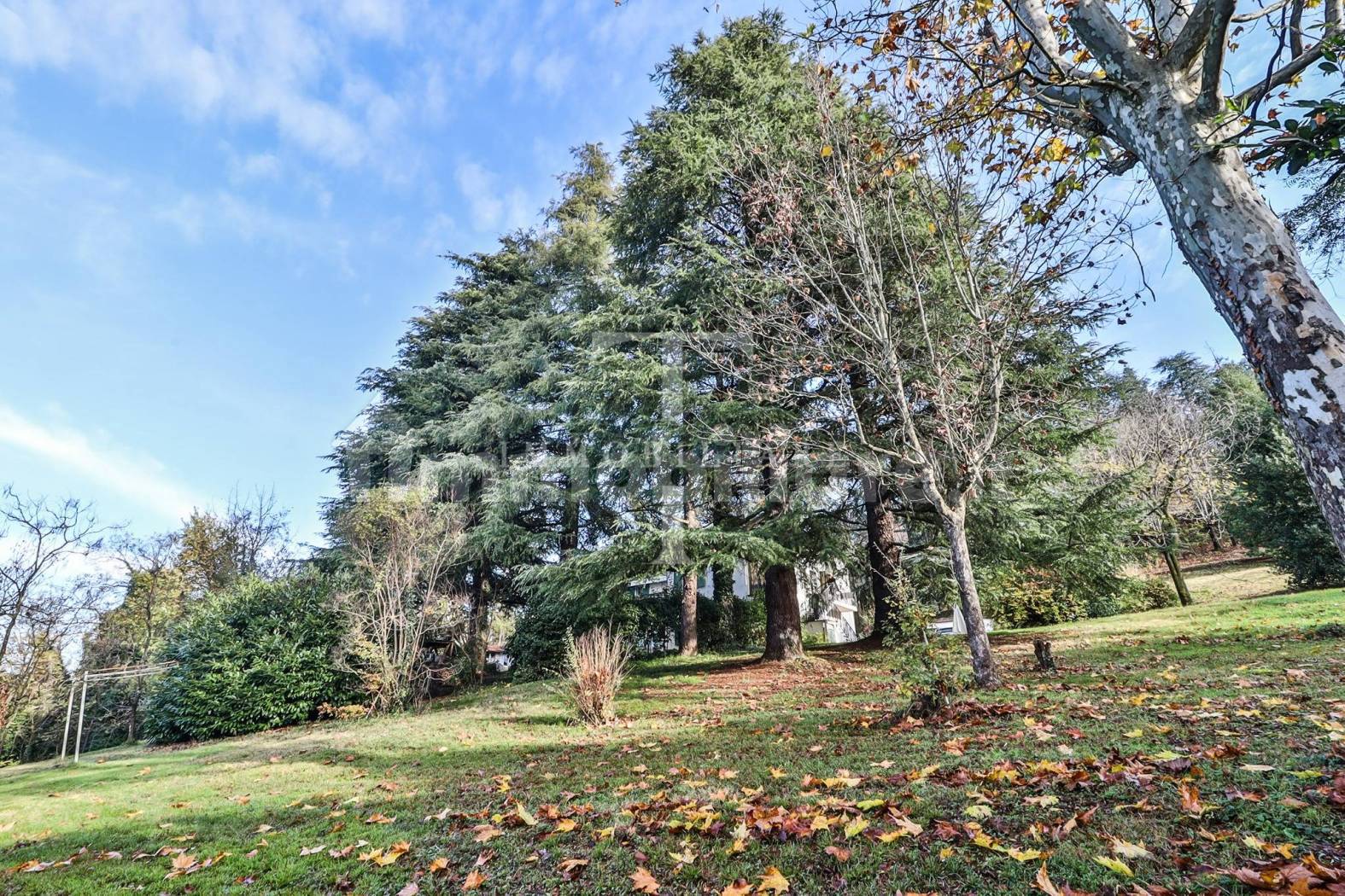 Villa in vendita a Pianoro