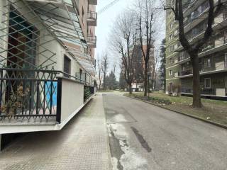 Zona