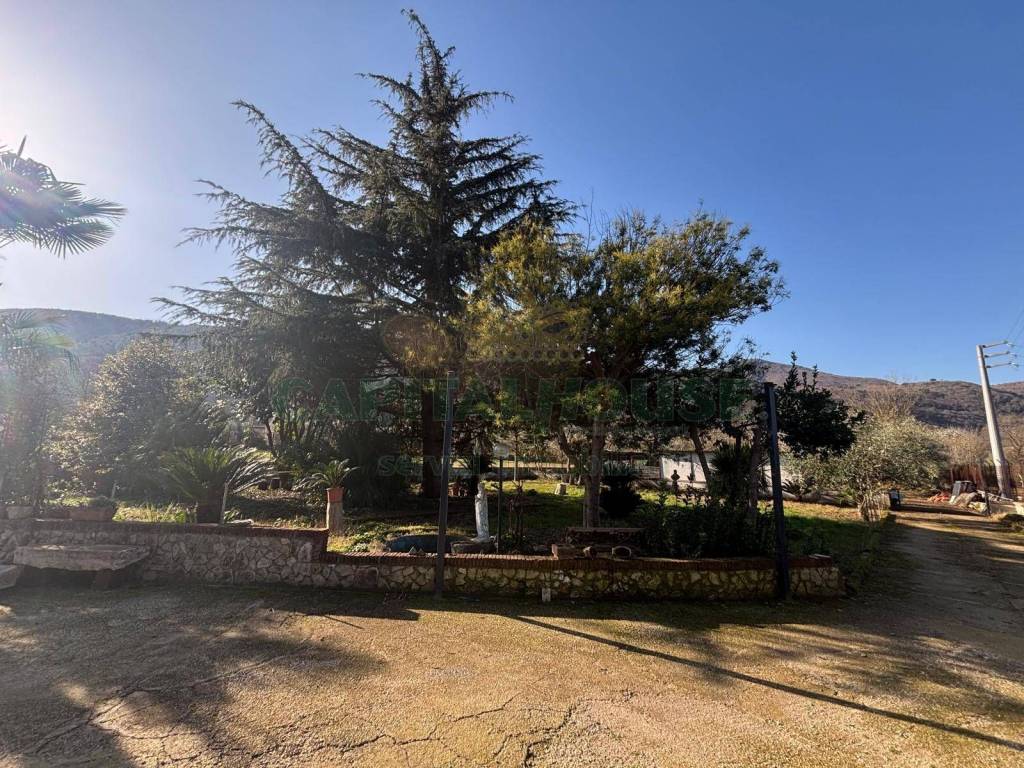 Terreno