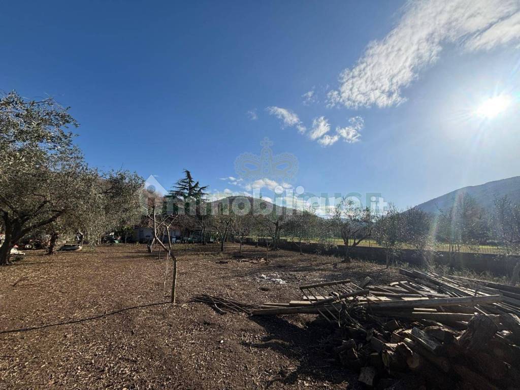 Terreno