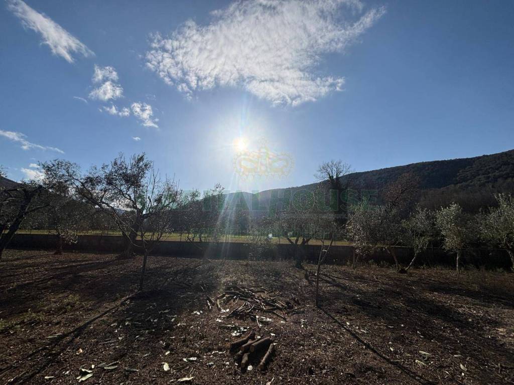 Terreno