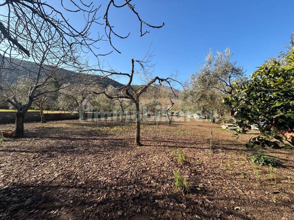 Terreno