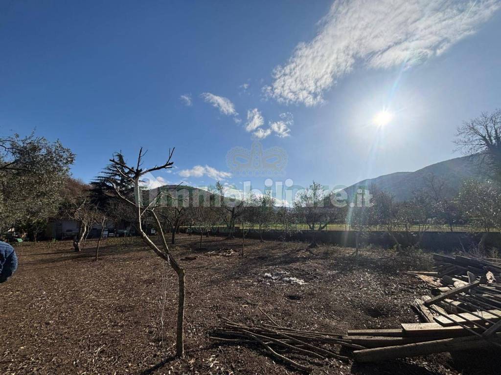 Terreno