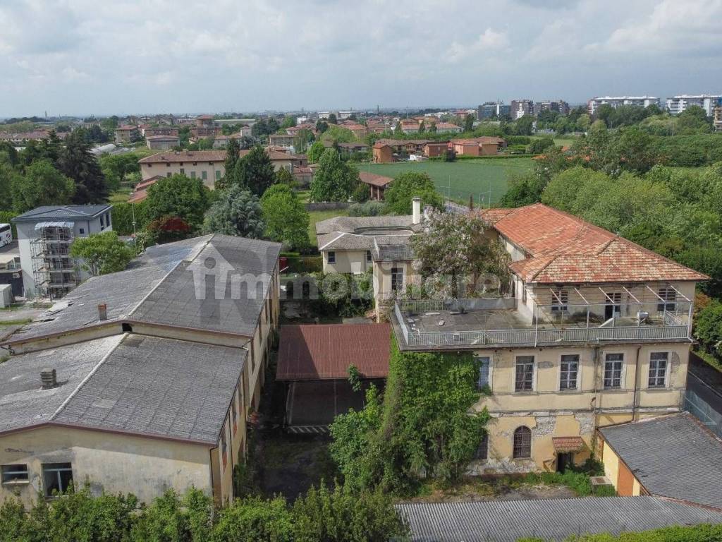 Vista