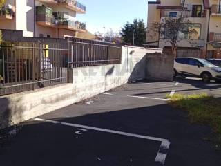 Zona