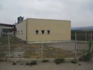 Zona